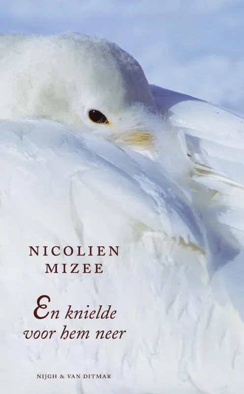 En Knielde Voor Hem Neer Direct Verzonden