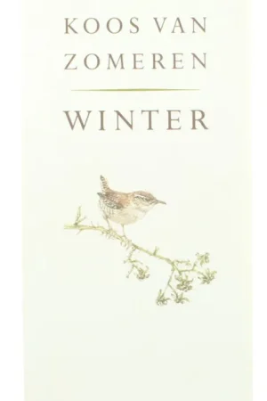 Winter Veilige Betaling