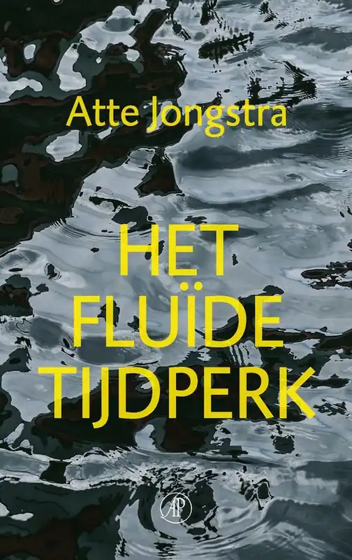 Het fluïde tijdperk Nu Kopen