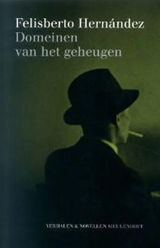 Domeinen van het geheugen Beperkte Voorraad
