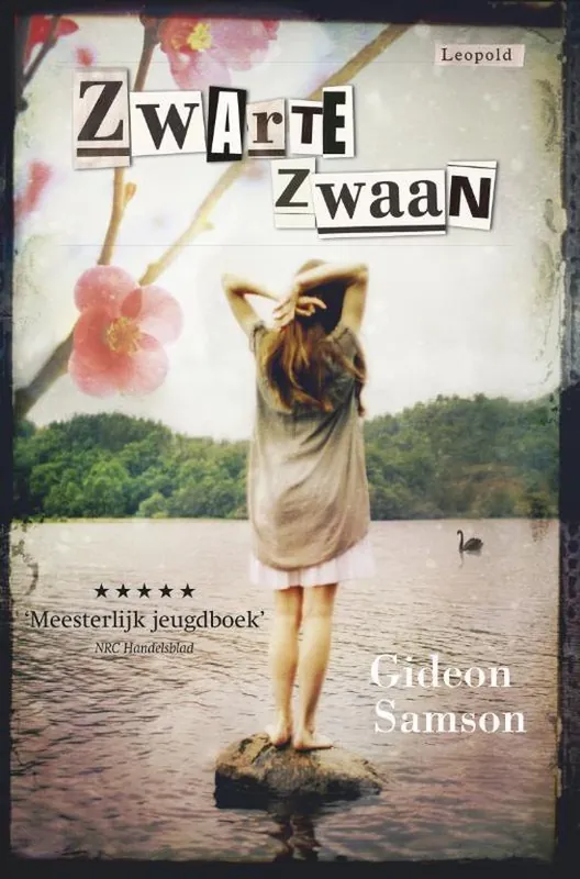 Premium Zwarte zwaan