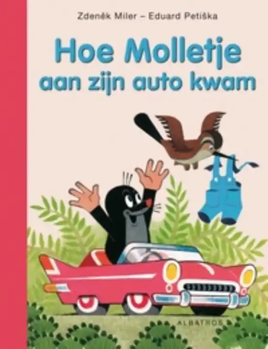 Molletje - Hoe Molletje aan zijn auto kwam Lage Kosten