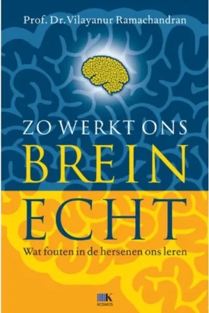 Zo Werkt Ons Brein  Echt Direct Beschikbaar
