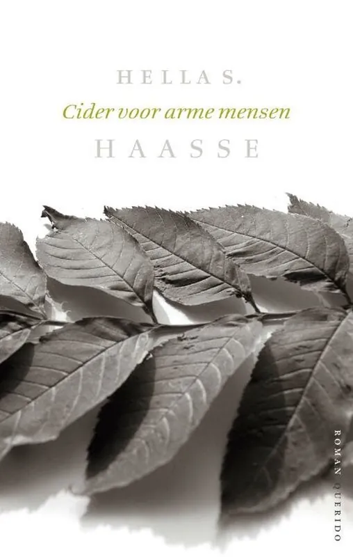 Veilige Betaling Verzameld werk Hella S. Haasse - Cider voor arme mensen
