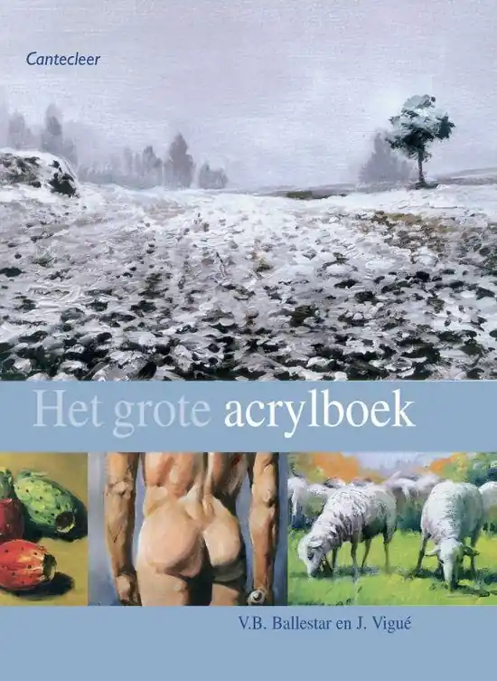 Het Grote Acrylboek Weekendaanbieding