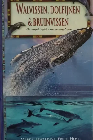 Walvissen, dolfijnen & bruinvissen Lage Kosten