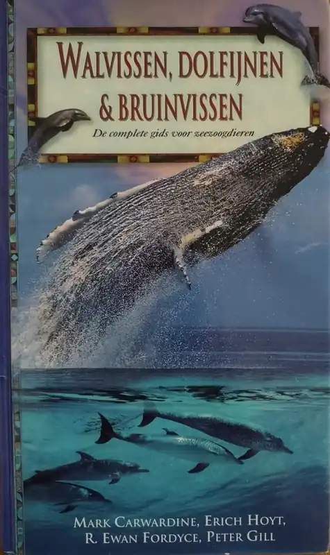 Walvissen, dolfijnen & bruinvissen Lage Kosten