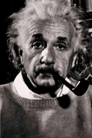 Who Was Albert Einstein? Weekendaanbieding