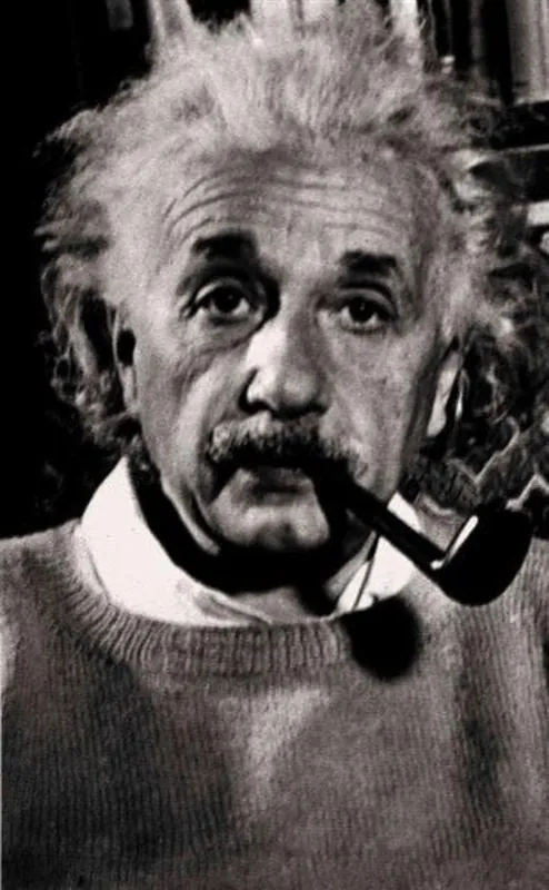 Who Was Albert Einstein? Weekendaanbieding