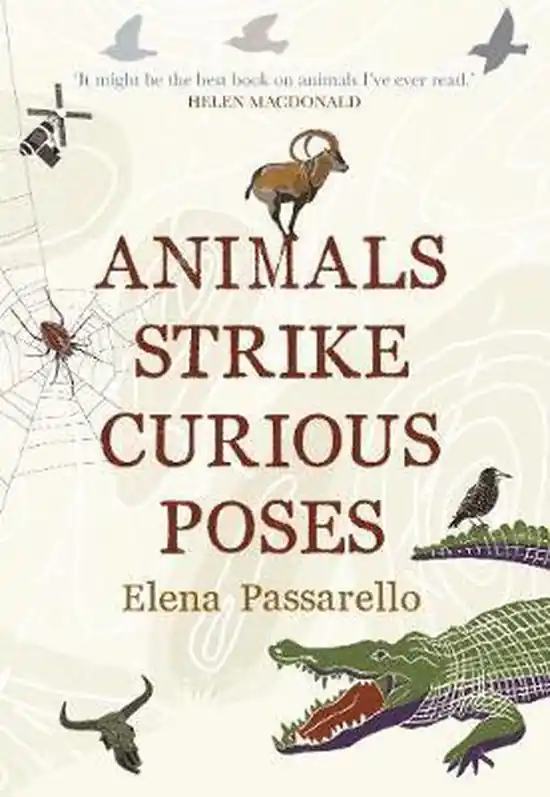 Animals Strike Curious Poses Goedkoop