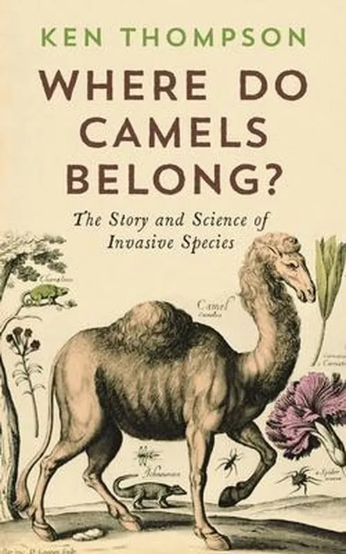 Bestseller Where Do Camels Belong?