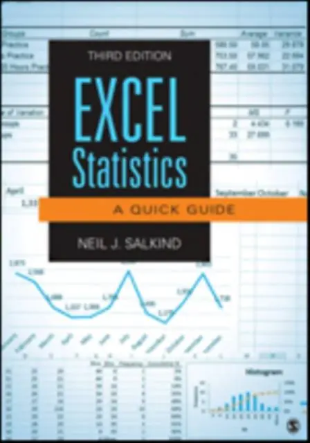 Hoge Kwaliteit Excel Statistics: A Quick Guide / 3rd Edition