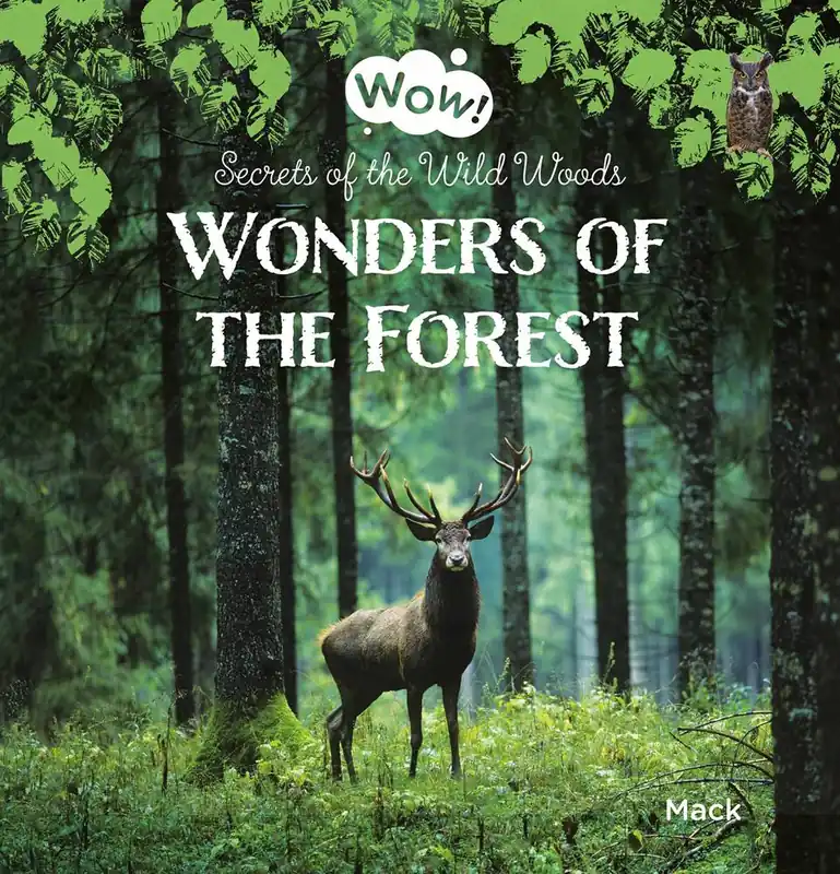 Laatste Versie Wonders of the Forest / 1st Edition