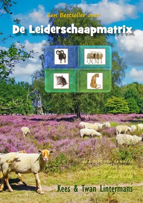 Express Levering De Leiderschaapmatrix / Druk 2