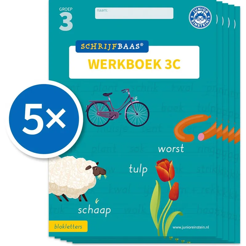 Schrijfbaas Blokletters Werkboek 3C (Set van 5) / Druk 1 Betrouwbaar