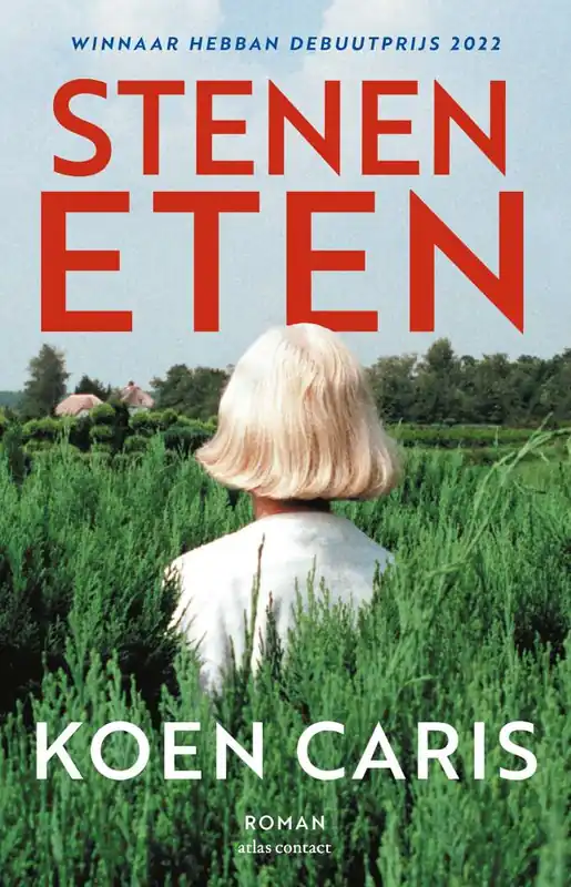 Hoge Kwaliteit Stenen eten / Druk 6