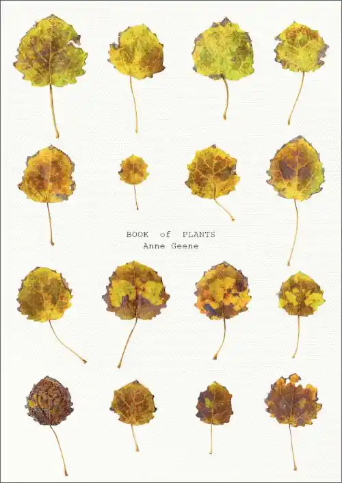 Uitverkoop Book of Plants / 1st Edition