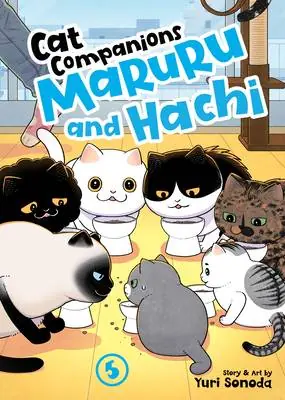 Direct Beschikbaar Cat Companions Maruru and Hachi Vol. 5
