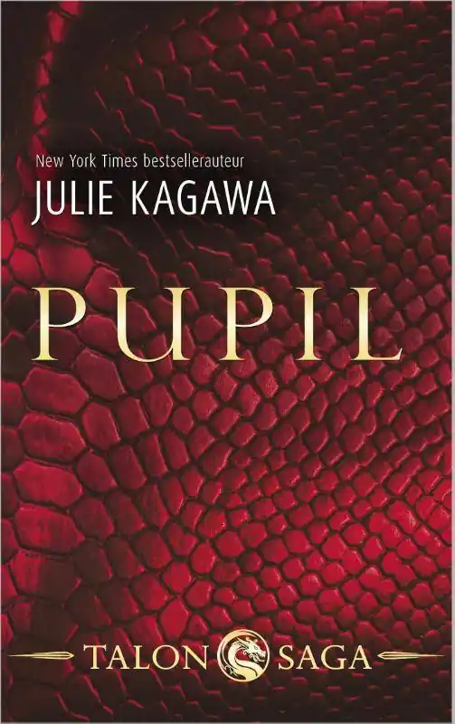 Pupil / Druk 1 Laatste Kans