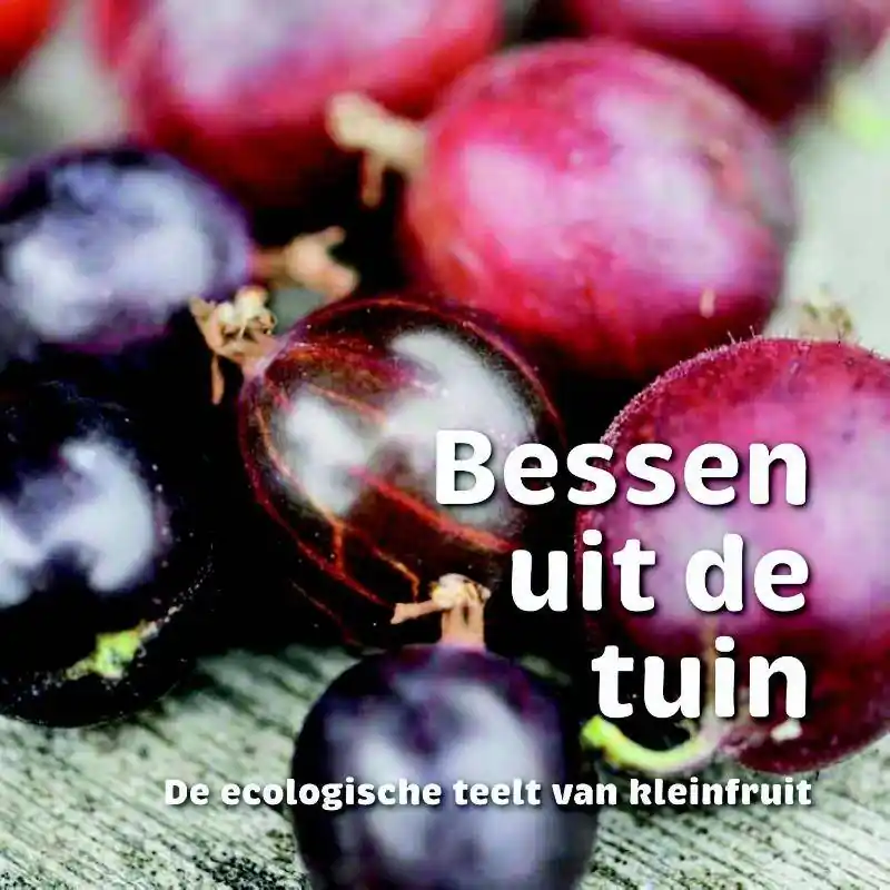 Lage Kosten Bessen uit de tuin / Druk 1