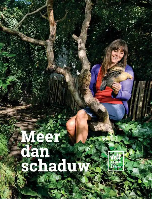 Meer dan schaduw / Druk 1 Aanbieding