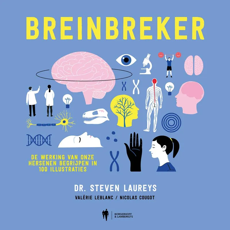 Hoge Kwaliteit Breinbreker / Druk 1