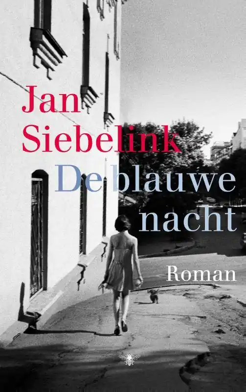 De blauwe nacht / Druk 1 Lage Prijs