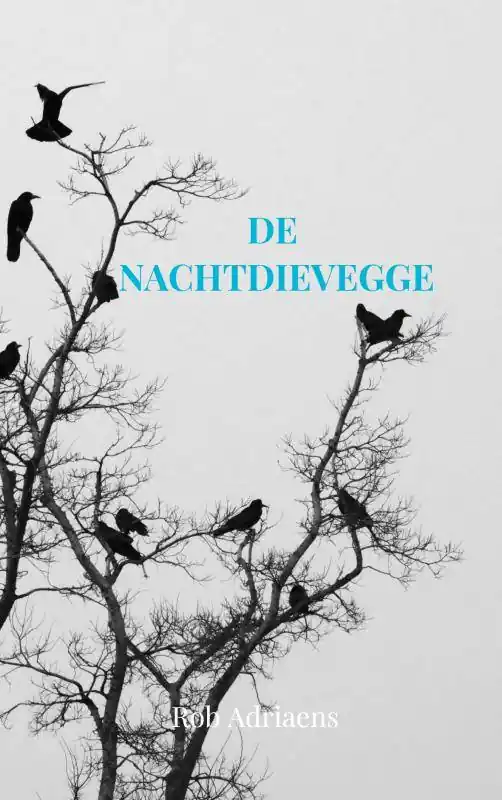 Koop Vandaag De Nachtdievegge / Druk 1