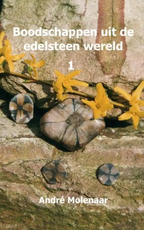 Shop Nu Boodschappen uit de edelsteen wereld / Druk 1