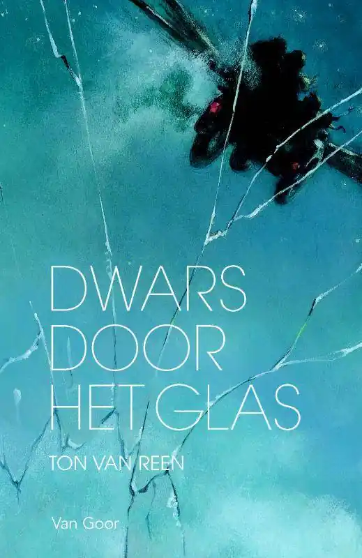 Direct Verzonden Dwars door het glas / Druk 1