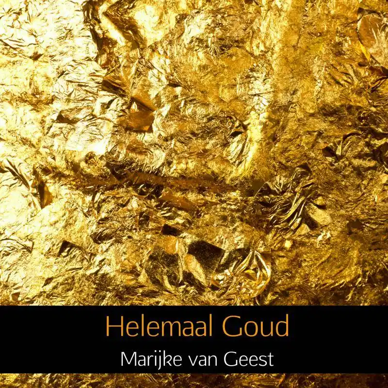 Direct Verzonden Helemaal Goud / Druk 1