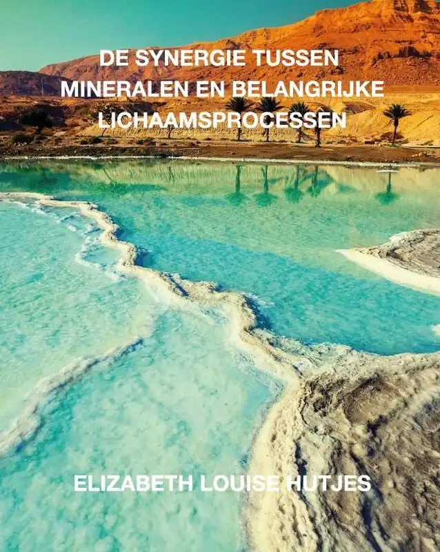 De synergie tussen mineralen en belangrijke lichaamsprocessen / Druk 3 Direct Verzonden