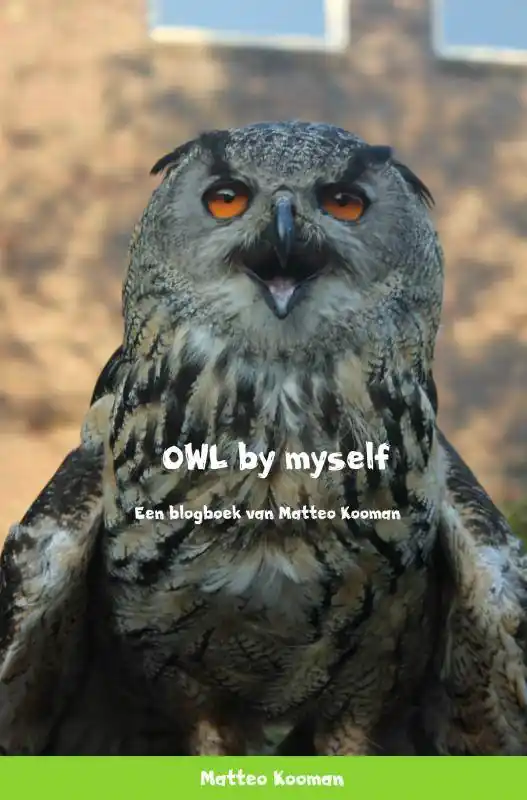 Express Levering OWL by myself / Druk 1