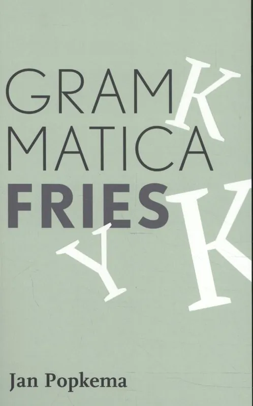 Fabrieksprijs Grammatica Fries / Druk 1