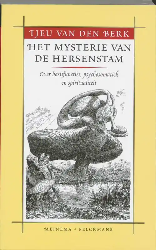 Hoge Kwaliteit Het mysterie van de hersenstam / Druk 4