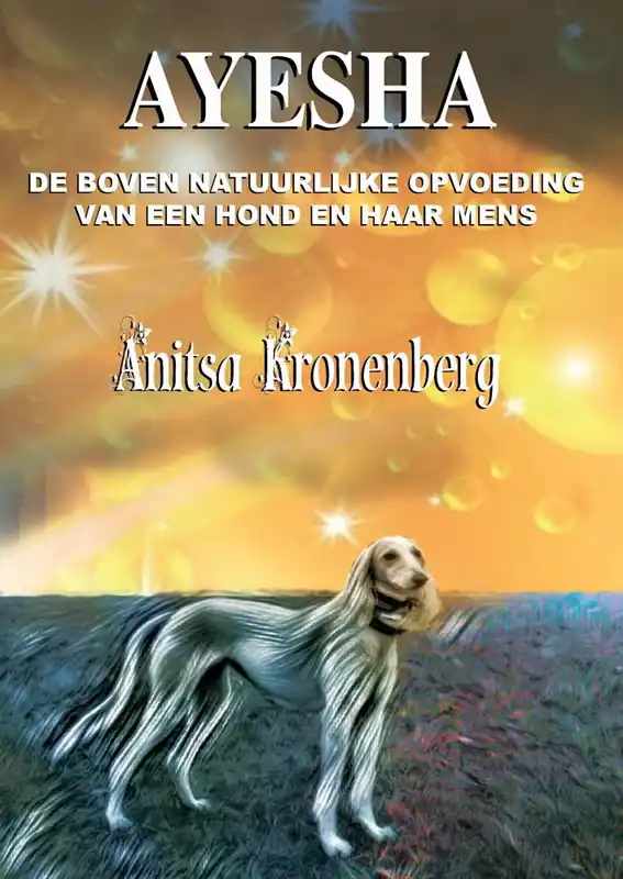 Ayesha / Druk 1 Aanbieding