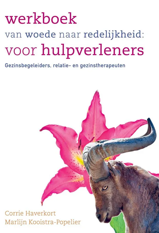 Werkboek van woede naar redelijkheid: voor hulpverleners / Druk 1 Hete Deal
