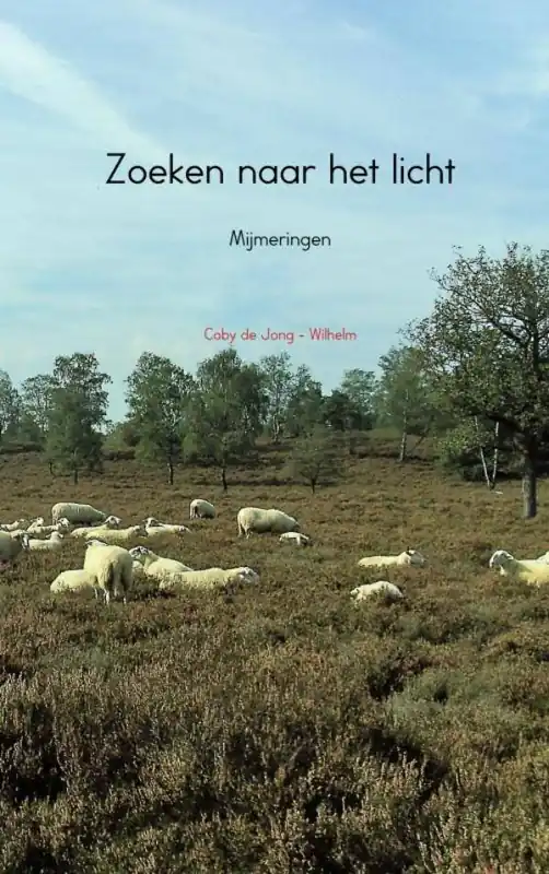 Zoeken naar het licht / Druk 1 Koop Online