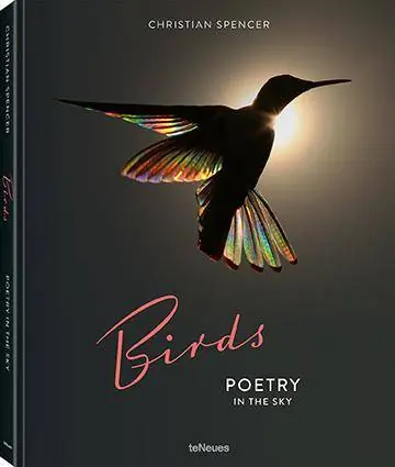Direct Beschikbaar Birds