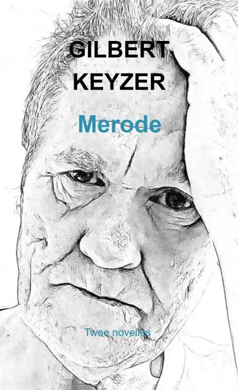 Merkproduct Merode / Druk 2