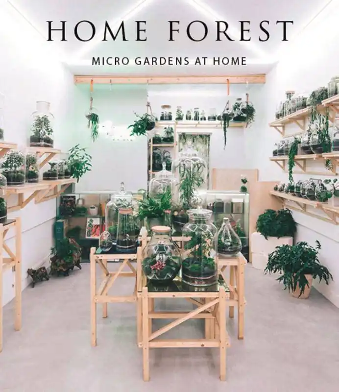 Home Forest Voordeelprijs