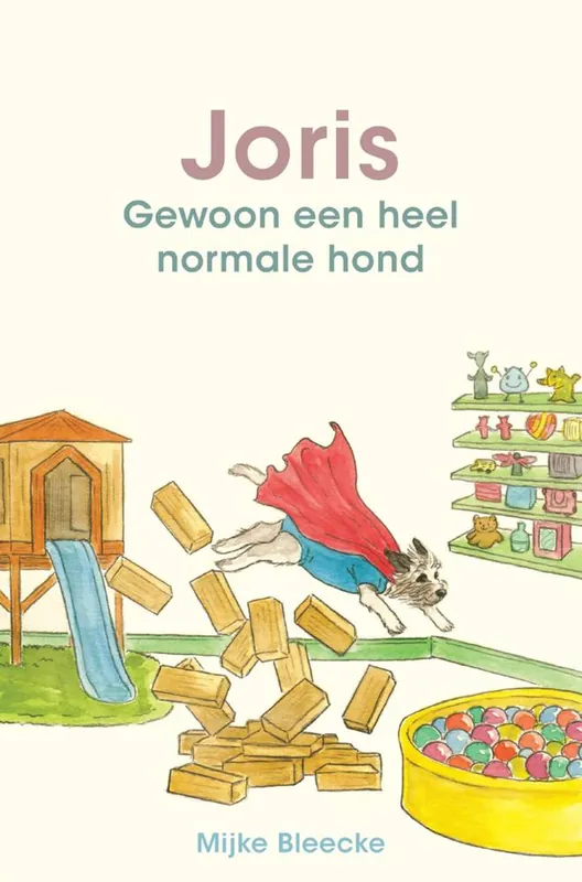Betaalbaar Joris / Druk 1