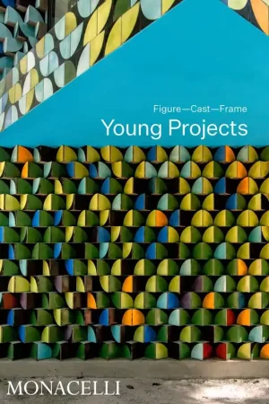 Young Projects Fabrieksprijs