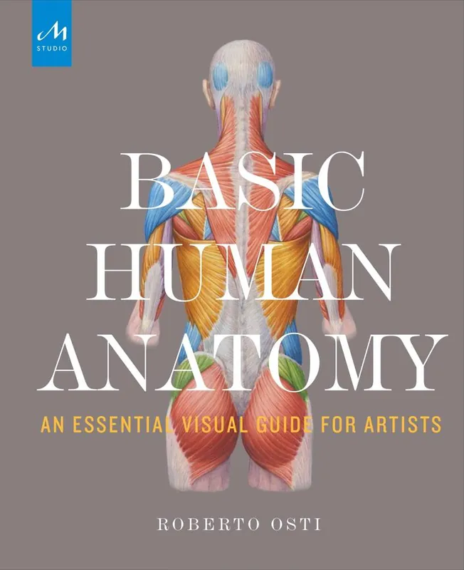 Tijdelijk Beschikbaar Basic Human Anatomy