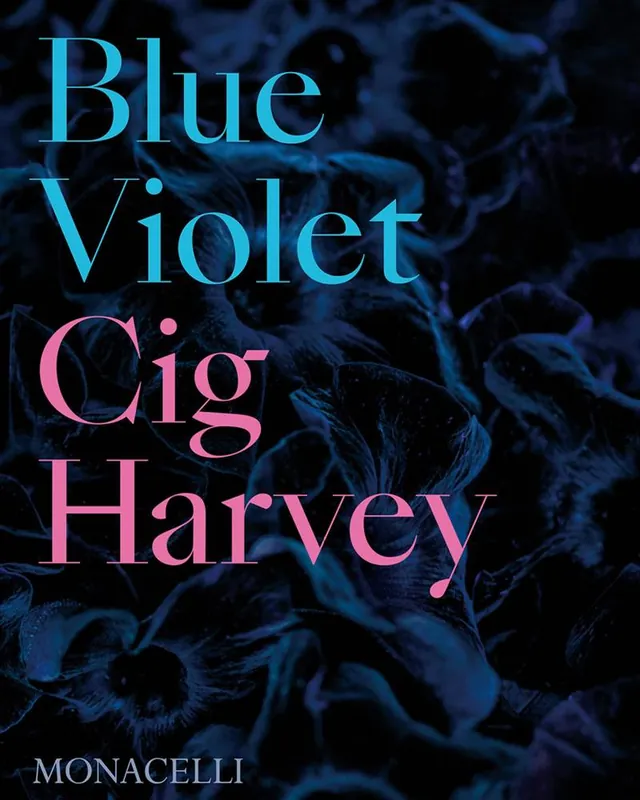Seizoensaanbieding Blue Violet