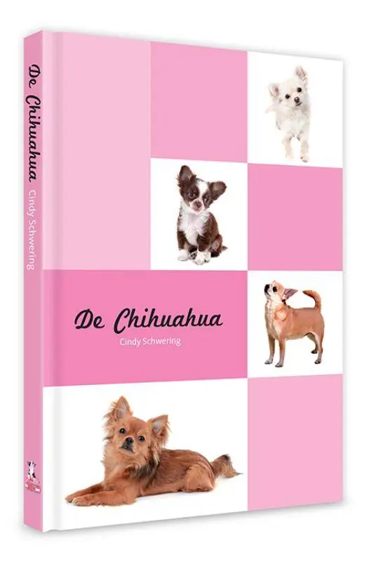 De Chihuahua / Druk 3 Lage Kosten