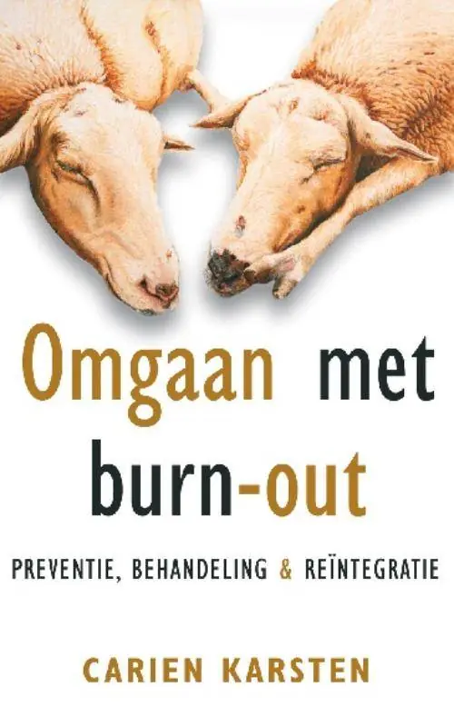 Speciale Aanbieding Omgaan met burn-out / Druk 4
