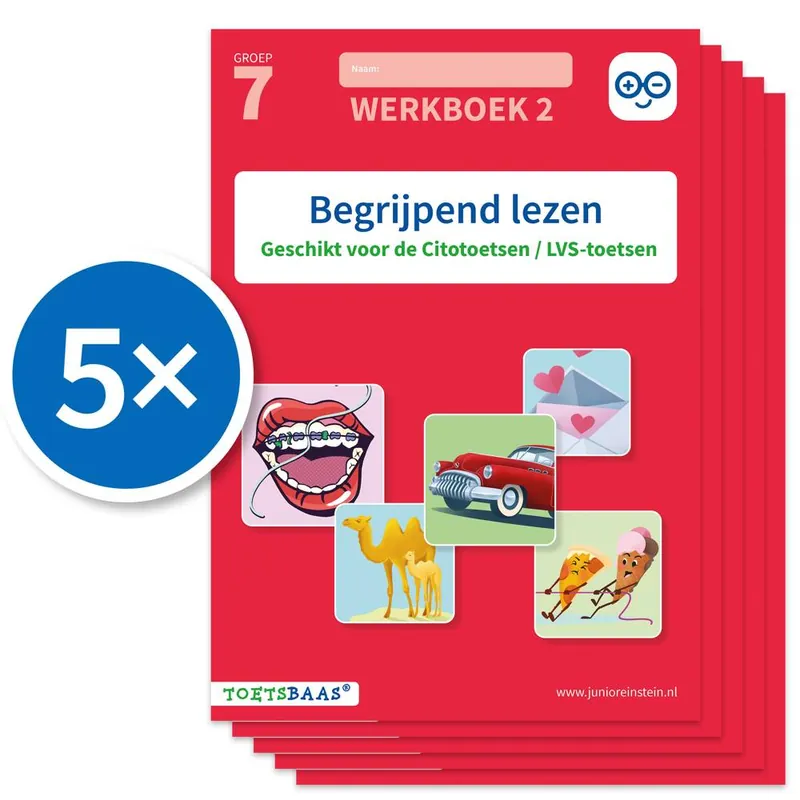 Begrijpend lezen werkboek 2 (Set van 5) / Druk 1 Beste Prijs