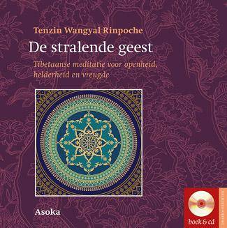 De stralende geest / Druk 1 Exclusieve Aanbieding