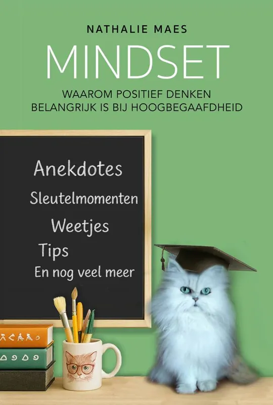 Mindset / Druk 1 Lage Prijs